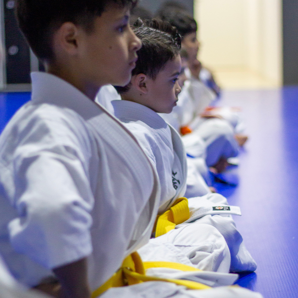 Regras Claras e Caráter Forte: O Ambiente Supervisionado do Kyokushin Karatê